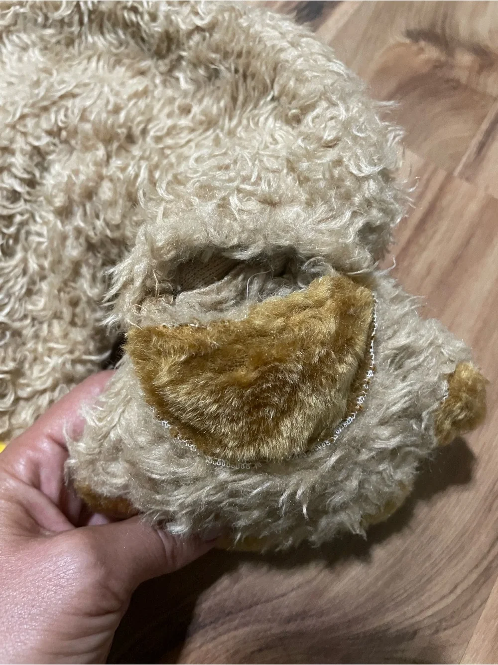Y2K Cinema Secrets Honey Bear Infant Costume Furry Bear Halloween Yellow Pot